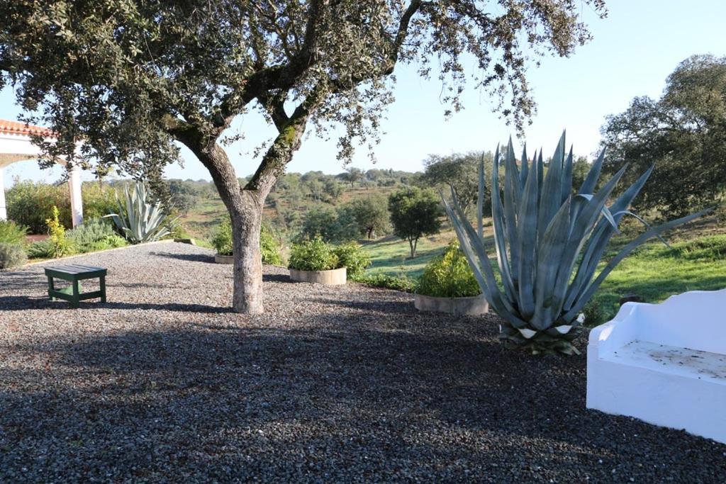 Monte Novo Da Sobreira, Rust En Ruimte In Zuid Alentejo Lejlighed Ourique Eksteriør billede