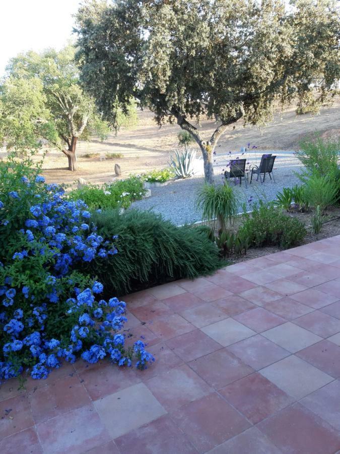 Monte Novo Da Sobreira, Rust En Ruimte In Zuid Alentejo Lejlighed Ourique Eksteriør billede